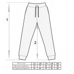 *Джоггеры Форс