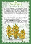Мазь Льнянки (при зобе, мастопатии, геморрое)