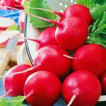 Редис Золотник 1г (2195)