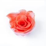 Жар Востока МАРИНОВАННЫЙ имбирь/пакет 300 г