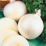 Лук Сюрприз 0,8г (2146)