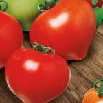 Томат Саймон 3шт (25284)