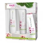 MATRIX Набор Биолаж Колорласт весенний БОМ (шампунь 250мл+кондиционер 200мл)