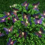 INBLOOM Гирлянда бабочка на солн. батарее c 25LED,  7 м,  шампань,  2 реж,  ПВХ зел,  2V80Ma,  1.2V600mAh