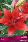 Лилия ЛА-гибрид. Луковичные