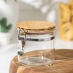 Банка стеклянная для сыпучих продуктов с бугельным замком Magistro «Эко», 500 мл, 10_10,3 см